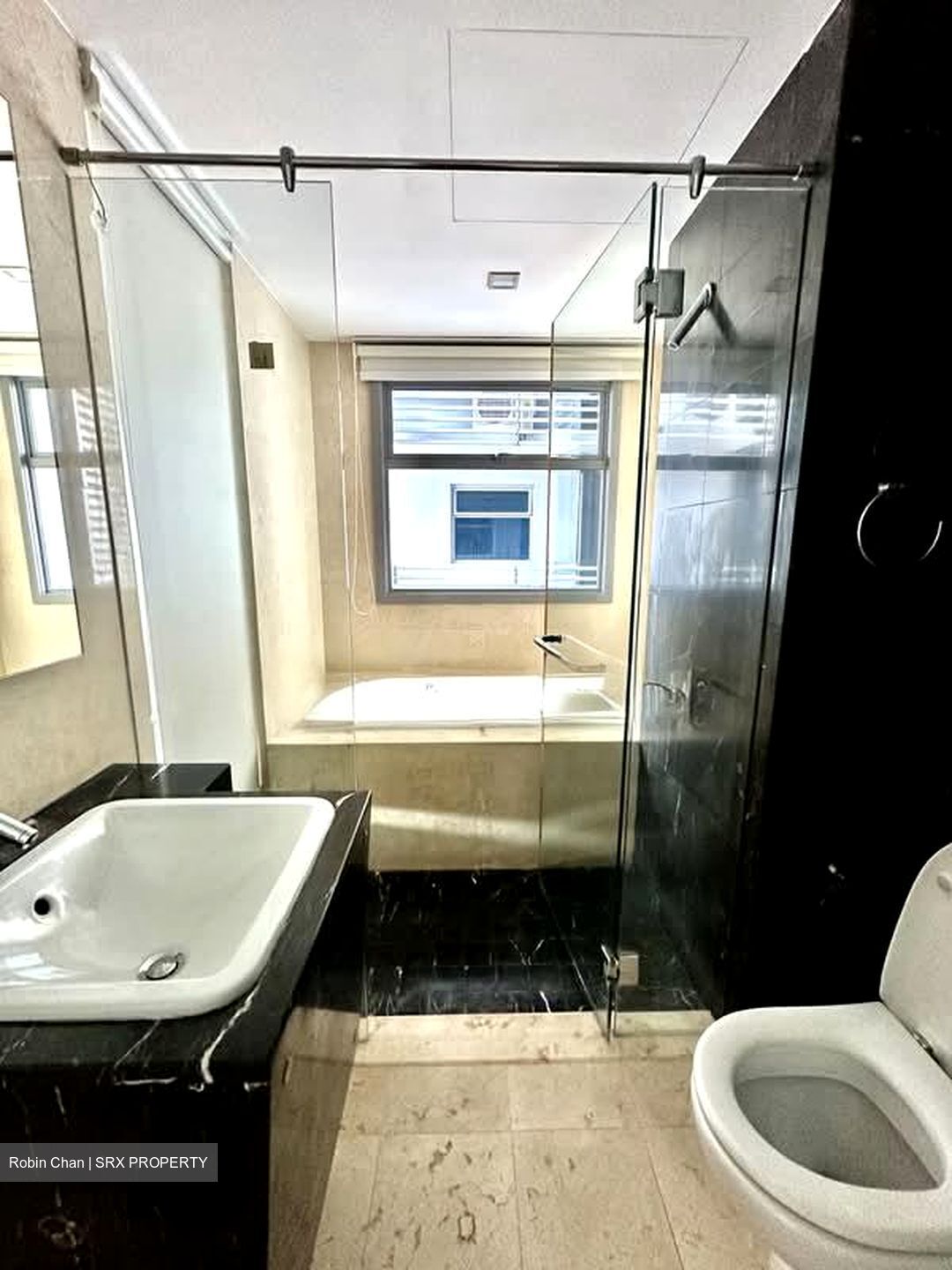 Residences @ Evelyn (D11), Condominium #606338061